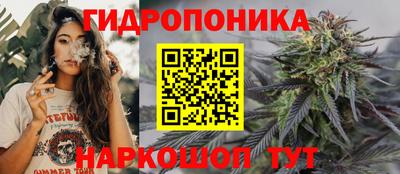 МДПВ Гусь-Хрустальный
