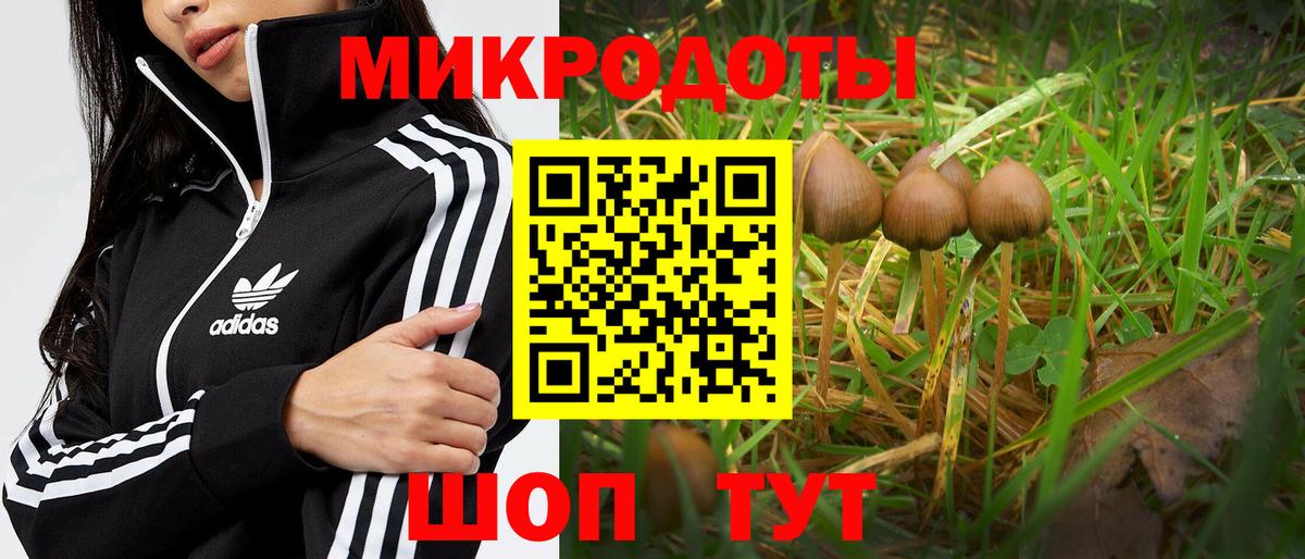 Псилоцибиновые грибы Psilocybine cubensis  Вход с VPN  продажа наркотиков  Нижний Новгород  Псилоцибиновые грибы мухоморы 